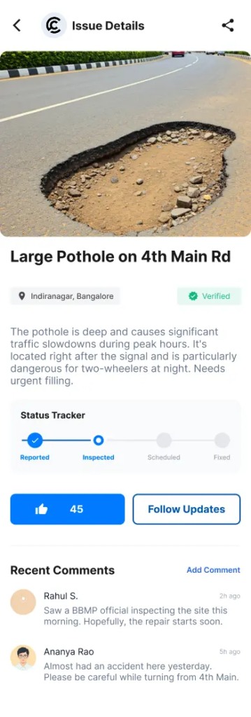 Pothole Problem Report Comment